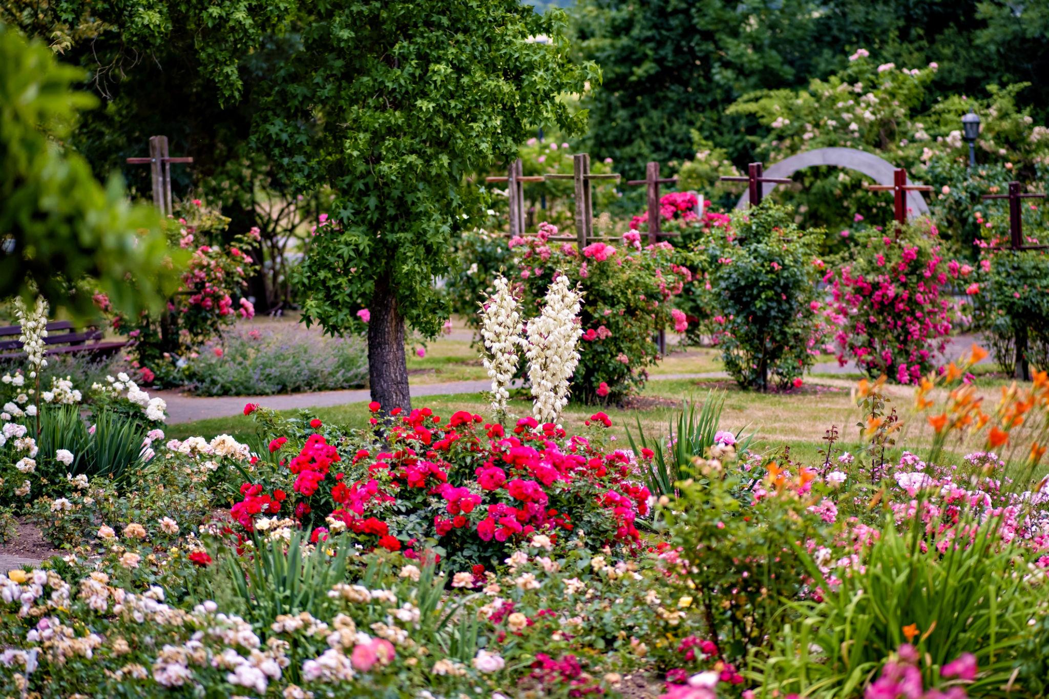Gartenpflege